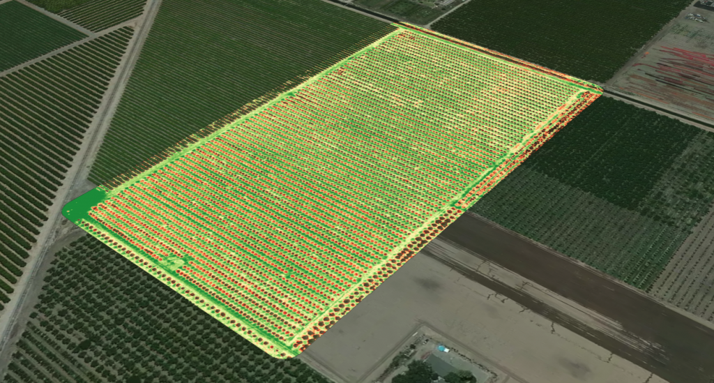 RedEdge-M Chlorophyll Map