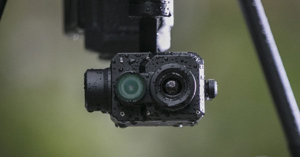 DJI Zenmuse XT2 336*256 - Image 2