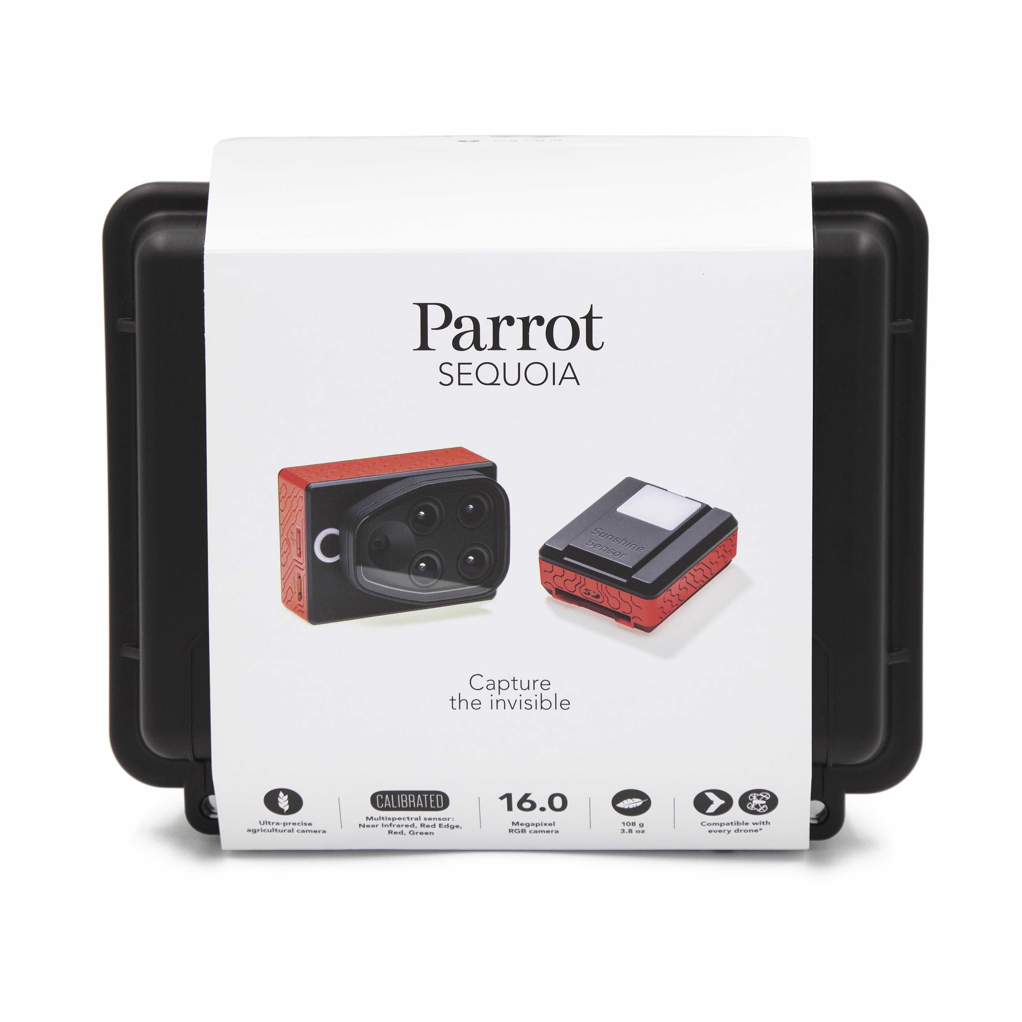 polaroid 250 film