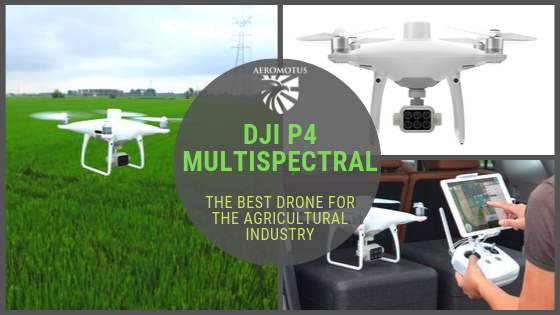 Skoleuddannelse snatch gnist DJI P4 Multispectral - the Best Drone for the Agricultural Industry -  AEROMOTUS