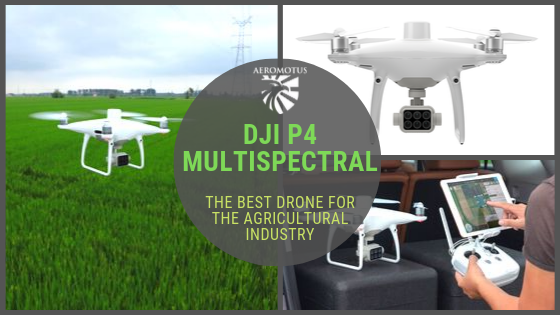 dji phantom multispectral camera