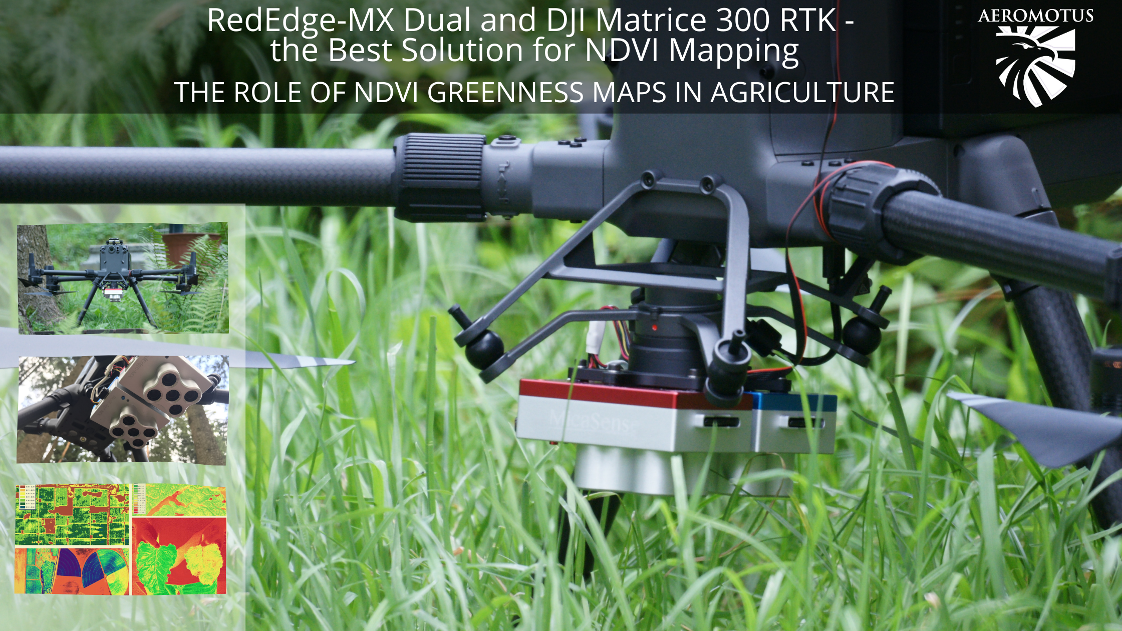 ndvi-mapping matrice 300 rtk