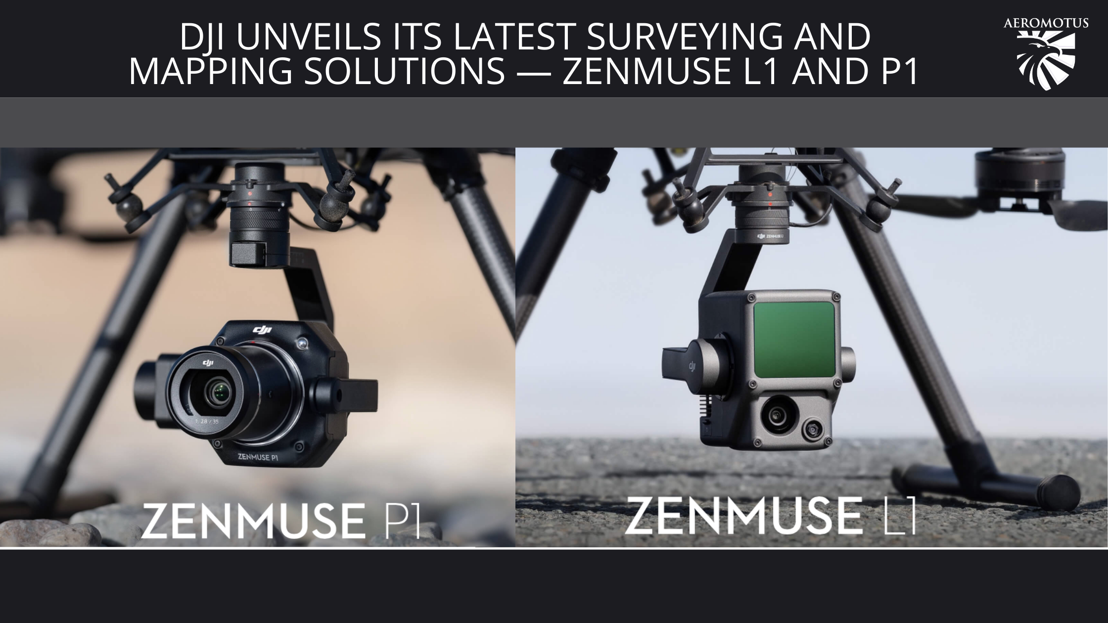 Zenmuse l1 and p1