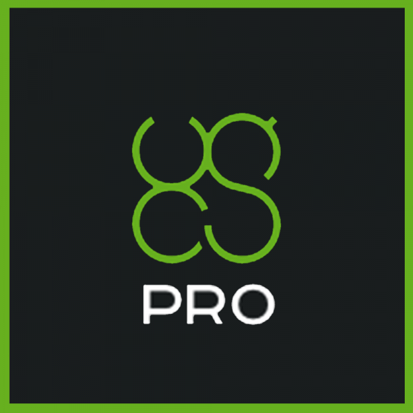 UgCS - Pro