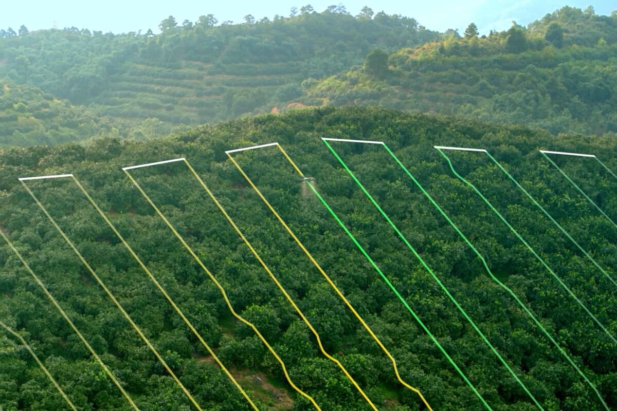 Agricultural Drone Operation